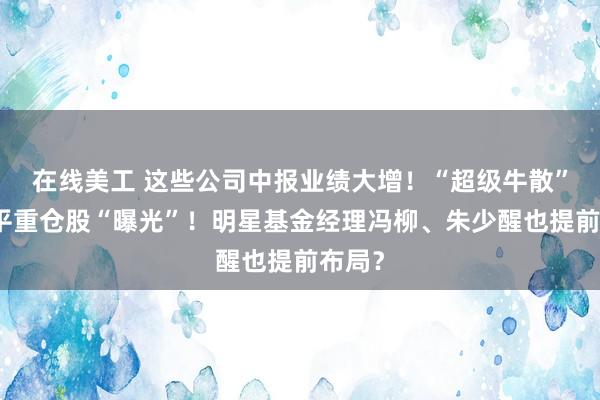 在线美工 这些公司中报业绩大增！“超级牛散”赵建平重仓股“曝光”！明星基金经理冯柳、朱少醒也提前布局？